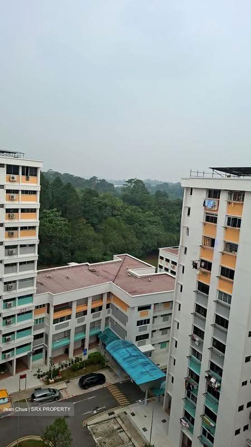 Blk 273 Bangkit Road (Bukit Panjang), HDB 5 Rooms #617709021